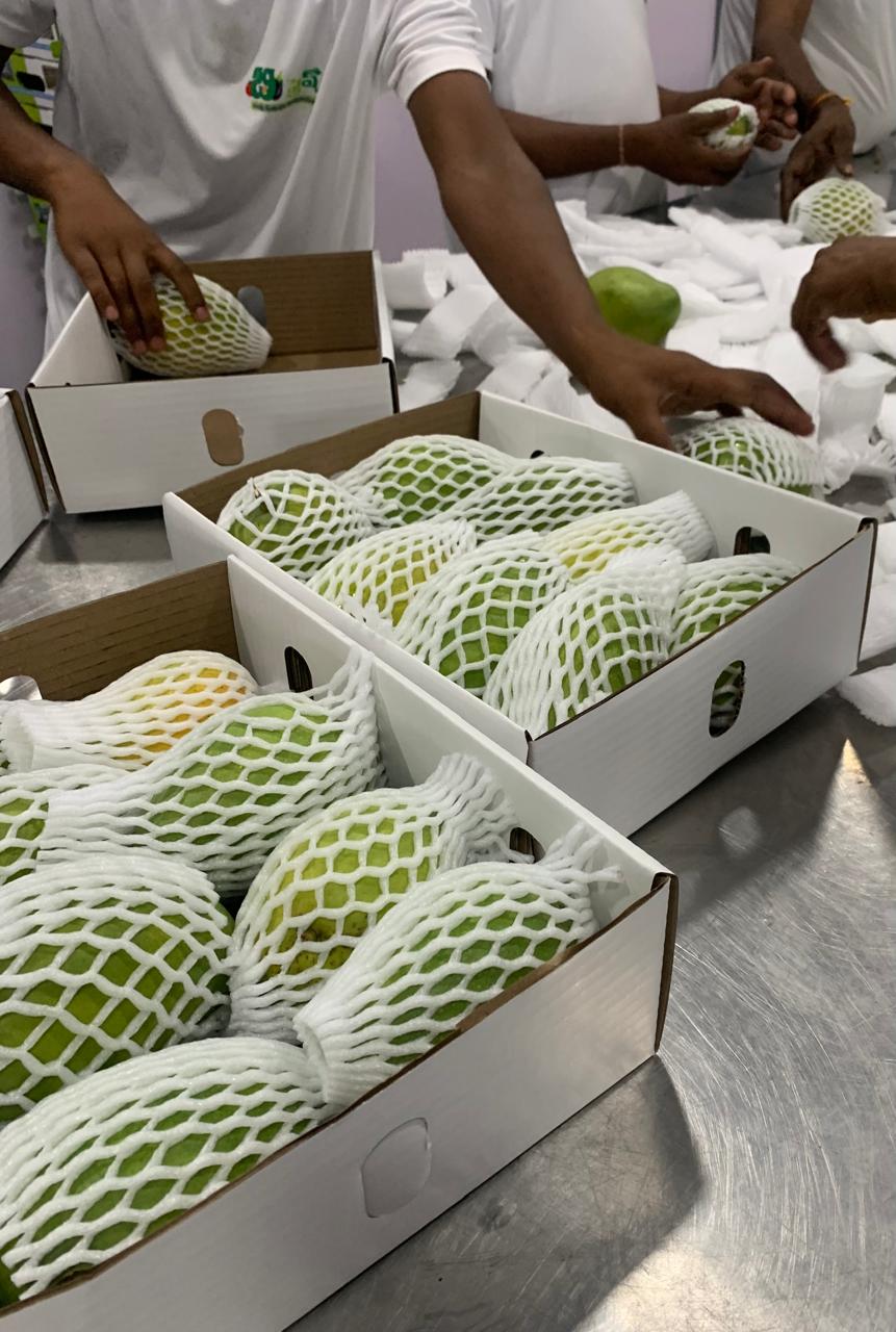 Production line overview